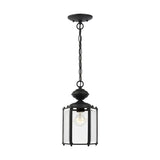 One Light Outdoor Semi-Flush Convertible Pendant