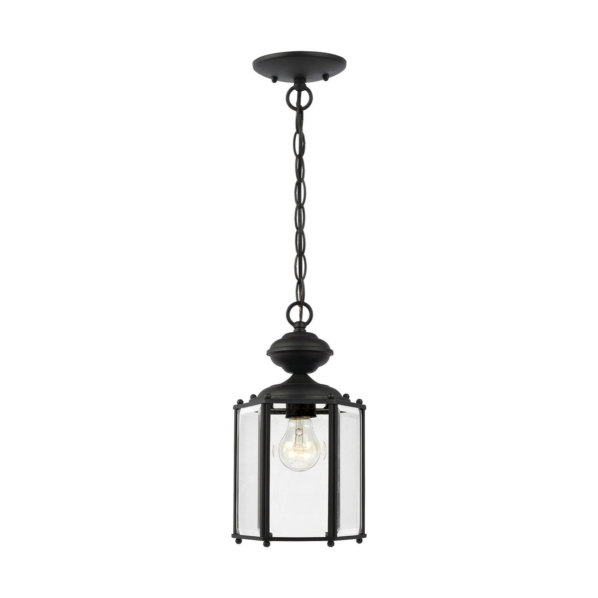 One Light Outdoor Semi-Flush Convertible Pendant