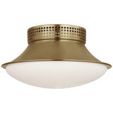 Precision 9" Downlight Flush Mount