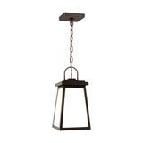 One Light Outdoor Pendant — 14.25", 9 W