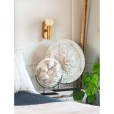 Dion LED Wall Sconce