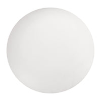 Era Blanking Plate