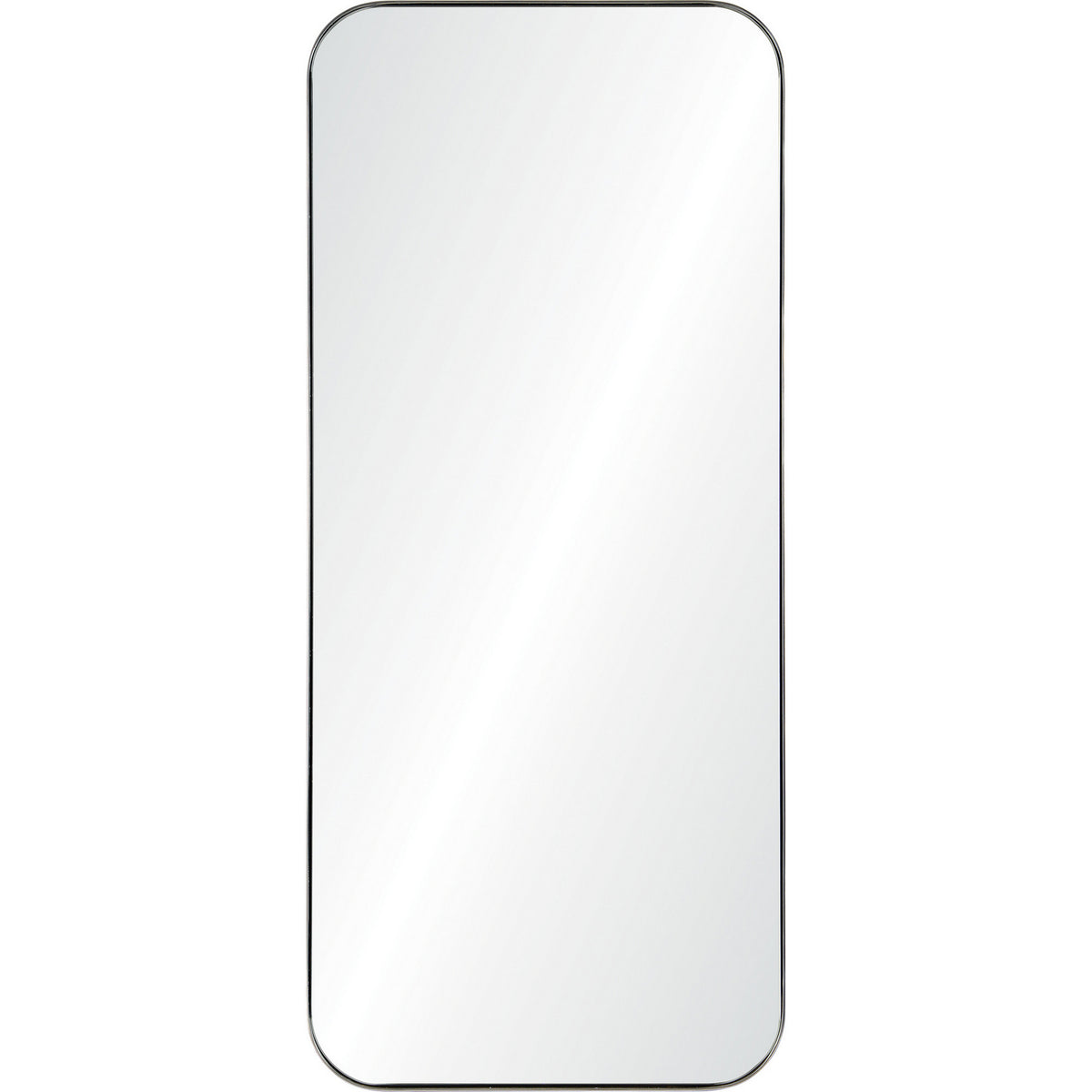 Delphinus Mirror