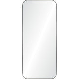 Delphinus Mirror