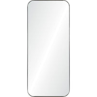 Delphinus Mirror