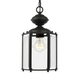 One Light Outdoor Semi-Flush Convertible Pendant