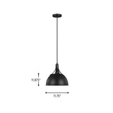 Rockland Pendant — 75 W