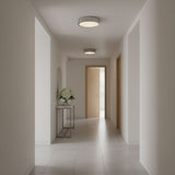 Albee Three Light Flush Mount