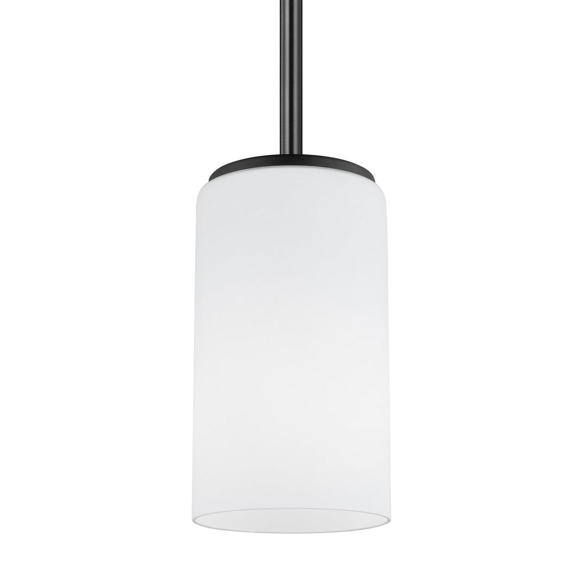 Alturas One Light Pendant
