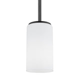 Alturas One Light Pendant