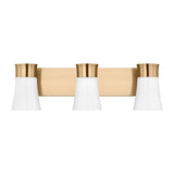 Roy 3-Light Bath Sconce