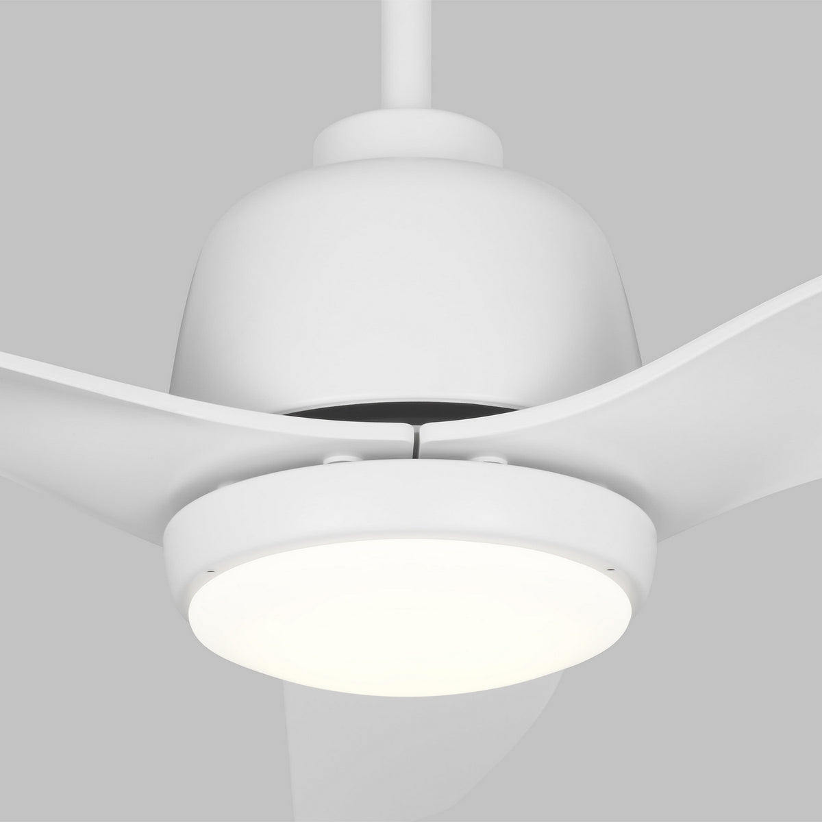 Avila Coastal 54" LED Ceiling Fan