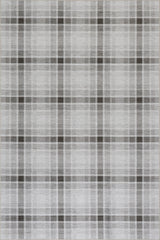 Andri Modern Plaid Machine Washable Rug