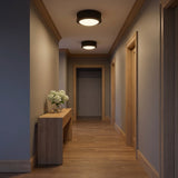 Ritz 5 Flush Mount