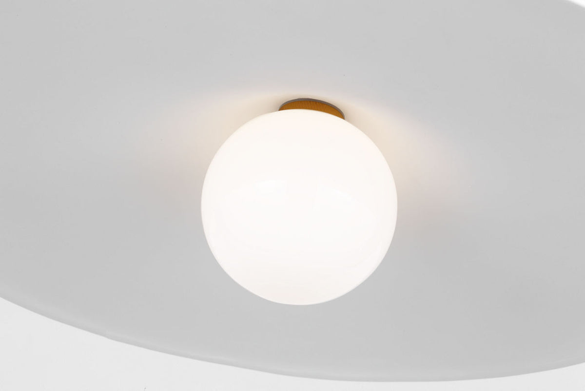 Endicott 24 Pendant