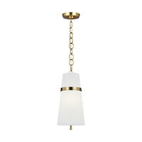 Cordtlandt Small Hanging Shade
