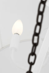 Herve 24 Hanging Shade