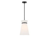 Fynn One Light Pendant