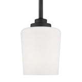 Windom One Light Pendant