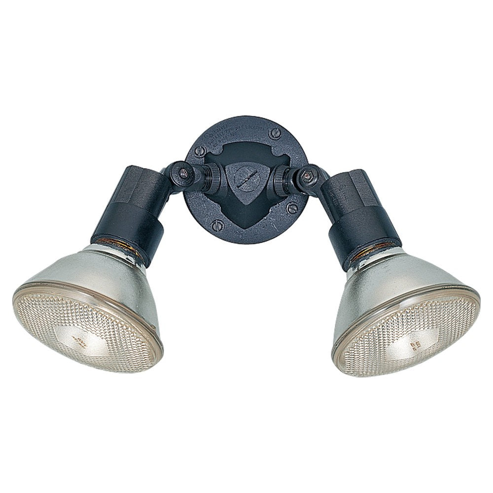 Two Light Flood Light