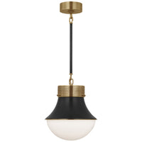 Precision Small Pendant