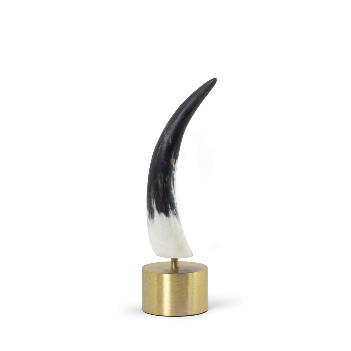 Daylon Horn — 15.00"