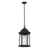 Sevier 17" Hanging Lantern