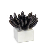 Succulent Sculpture — 5.00"