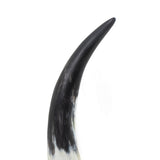 Daylon Horn — 15.00"
