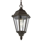 Bakersville Flat 14.5" Hanging Lantern — Clear Beveled