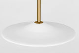 Endicott 24 Pendant
