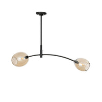 Two Light Pendant