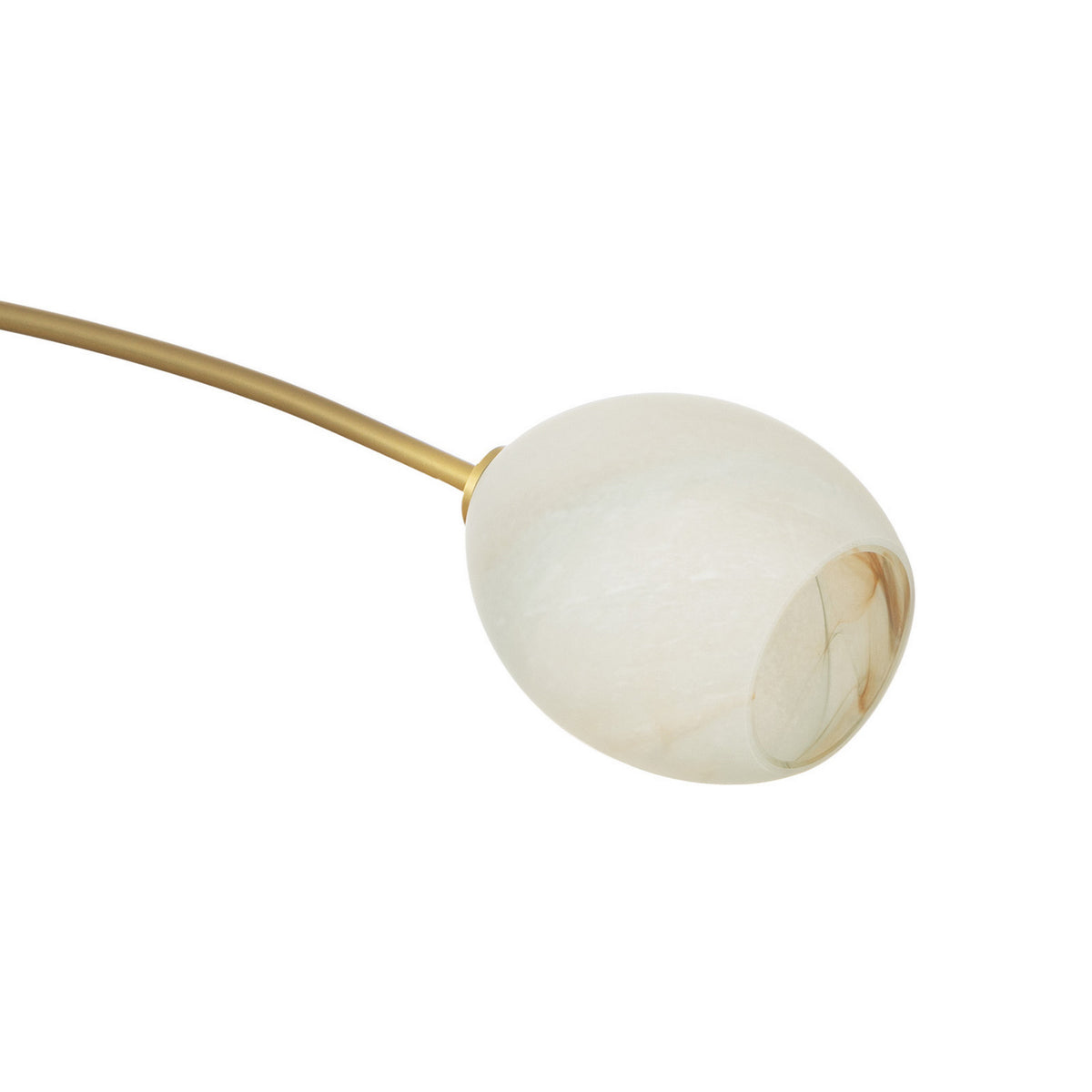 Two Light Pendant