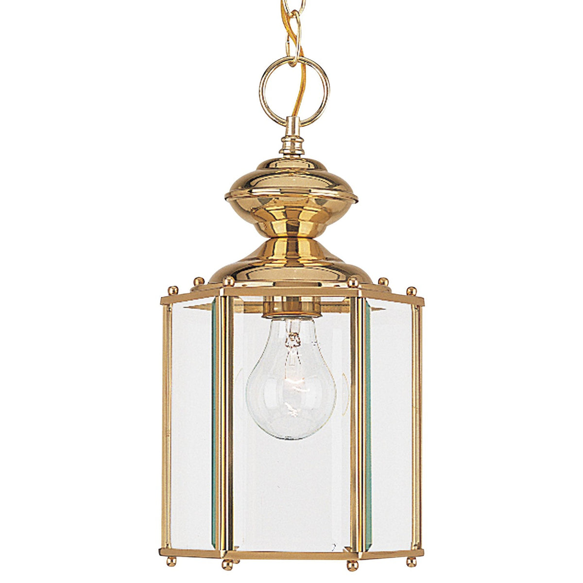 One Light Outdoor Semi-Flush Convertible Pendant