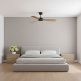 Paddle Smart 52" Ceiling Fan