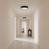 Albee Three Light Flush Mount