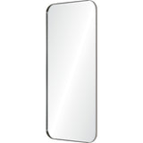Delphinus Mirror