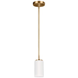 Alturas One Light Pendant