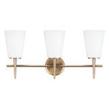 Driscoll Three Light Bath