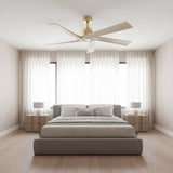 Aspen 56" Ceiling Fan