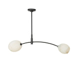 Two Light Pendant