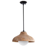 Surfside One Light Pendant