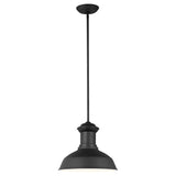 Fredricksburg LED Outdoor Pendant