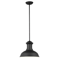 Fredricksburg LED Outdoor Pendant