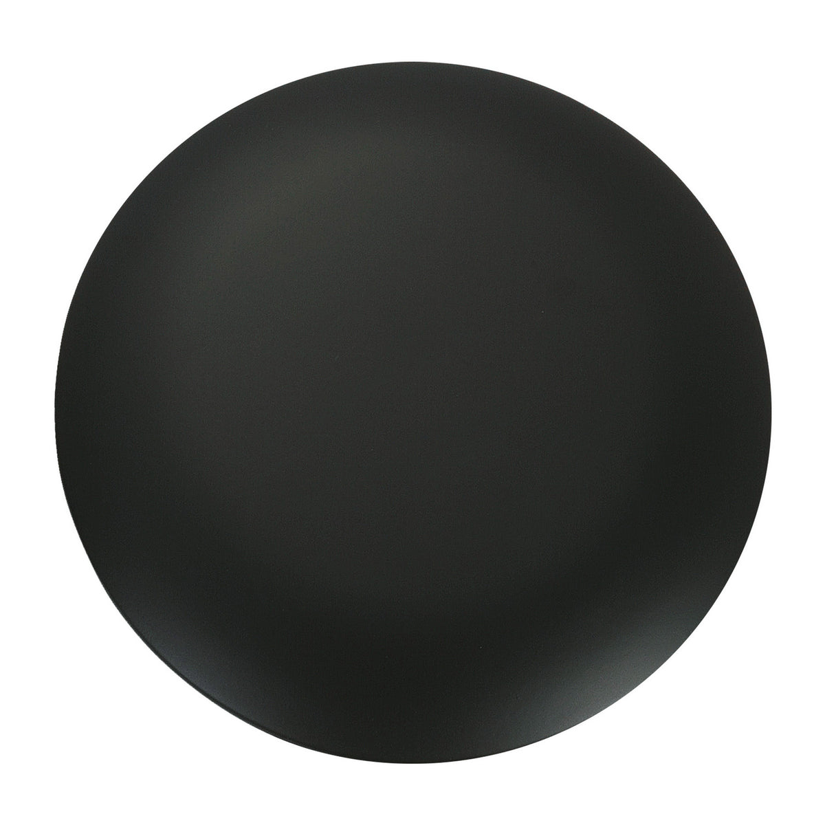 Era Blanking Plate