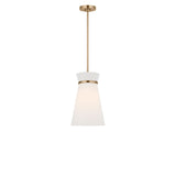 Fynn One Light Pendant