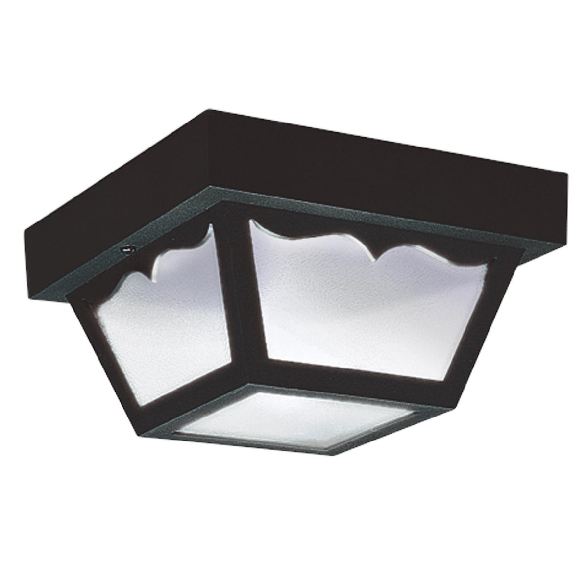 Outdoor Ceiling Two Light Flush Mount
