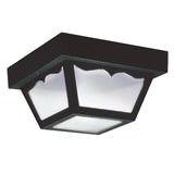 Outdoor Ceiling Two Light Flush Mount