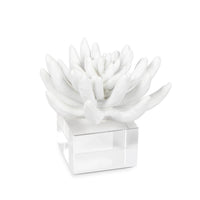 Succulent Sculpture — 5.00"