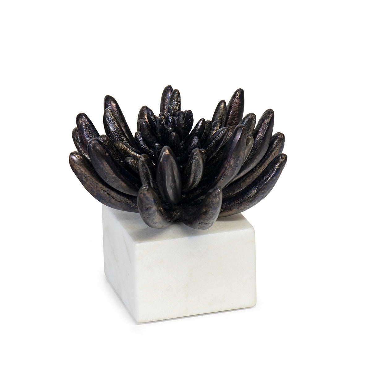 Succulent Sculpture — 5.00"